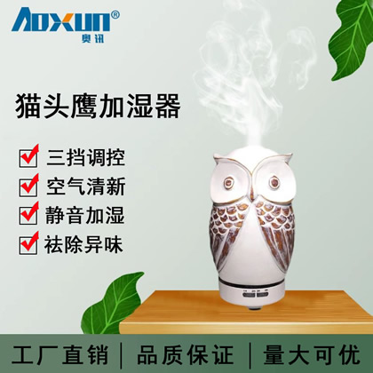 新款加濕器創(chuàng)意貓頭鷹噴霧精油香薰機(jī)霧化禮品車(chē)載 家用加濕器